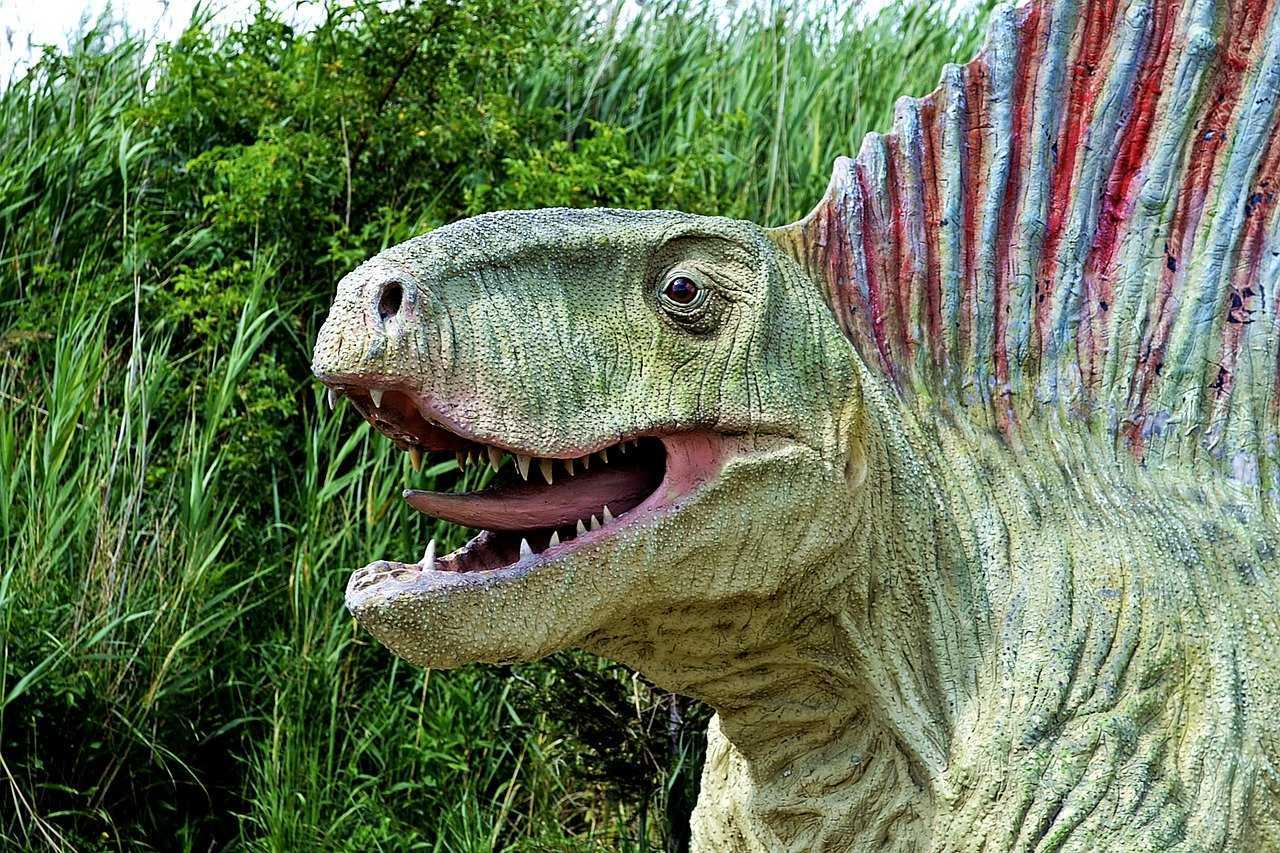 Как открыли динозавров?