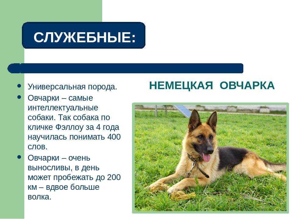 Синдром шерешевского-тёрнера. причины, симптомы, признаки, диагностика и лечение патологии :: polismed.com