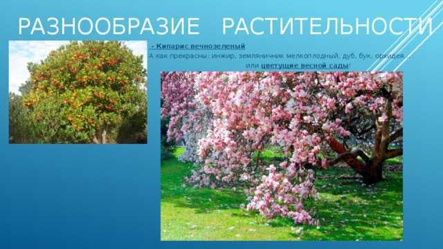 Природа забайкальского края