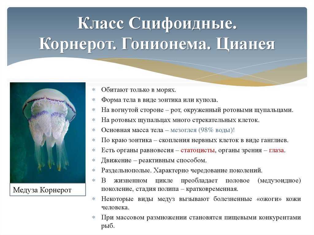 Папилломы на теле: причины и лечение | диагностика, лечение папилломавируса в санкт-петербурге | клиника гинекологии "неомед". запись по телефону (812) 249-0-249 или на сайте