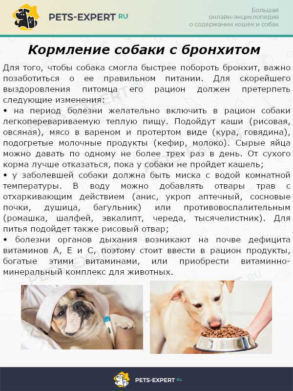 Розовый лишай