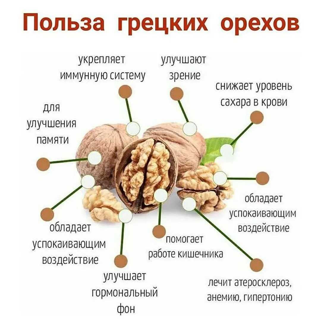 Можно ли кошкам орехи?