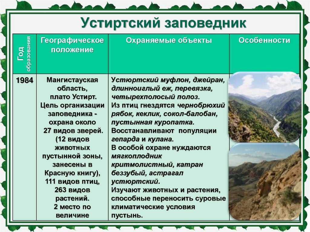 Эндемики - это что? эндемики россии - gkd.ru