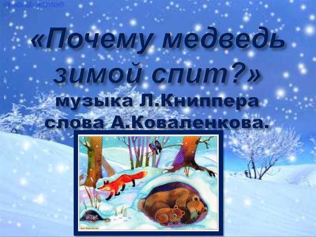 Какие животные впадают в спячку зимой: отличие сна медведей