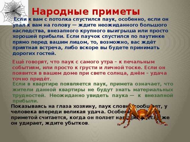 Приметы про пчел, мед, укусы пчел: трактовка