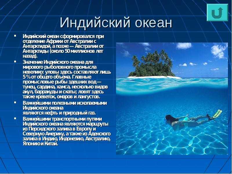Индийский океан описание, интересные факты