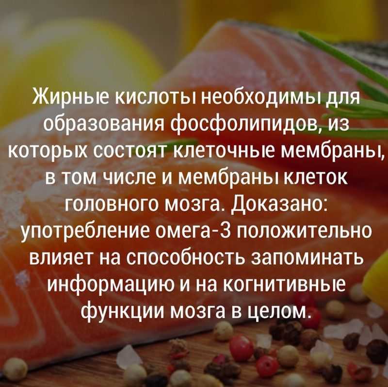 Рыбий жир кошкам — можно ли давать, польза и вред
