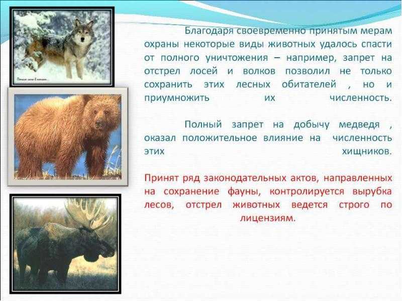 Экология загрязнение окружающей среды. доклад проблемы экологии, 4 класс. окружающий мир 3 класс тема экология доклад. загрязненная экология: урок для учеников 3 класса
