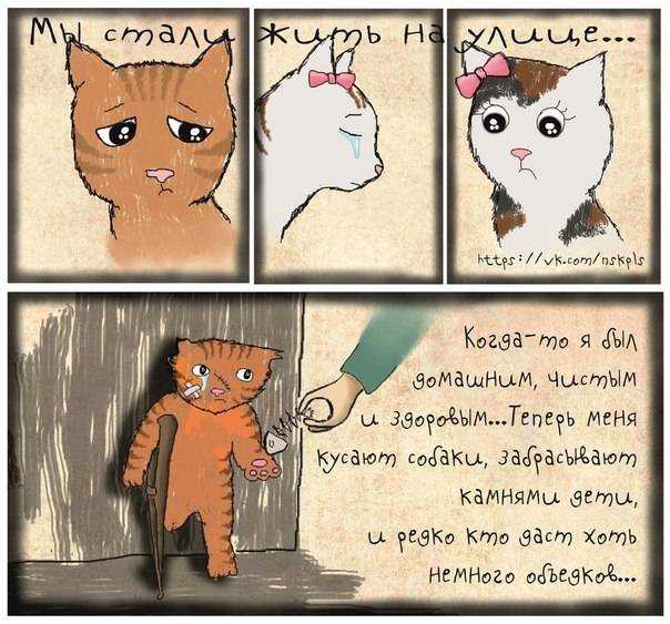 Почему кошка перетаскивает котят в другое место