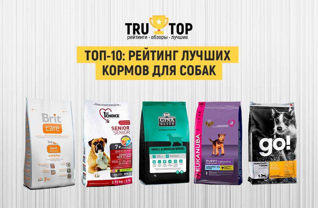 10 лучших кормов супер-премиум класса для собак: рейтинг 2020