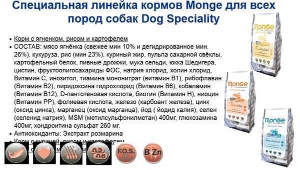 Корм "монже" для собак: состав, отзывы ветеринаров :: syl.ru