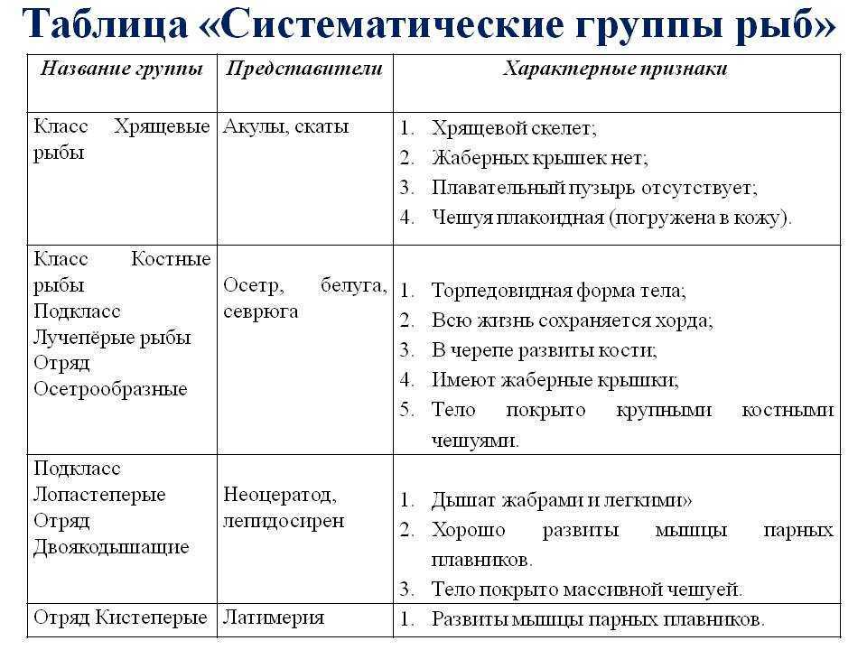 Надкласс рыбы