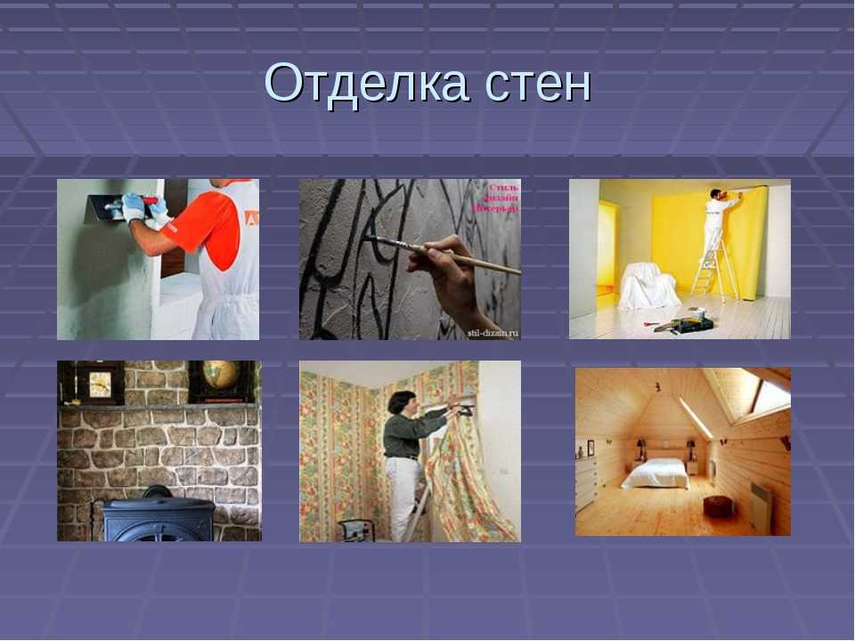 Как защитить стены от кота?