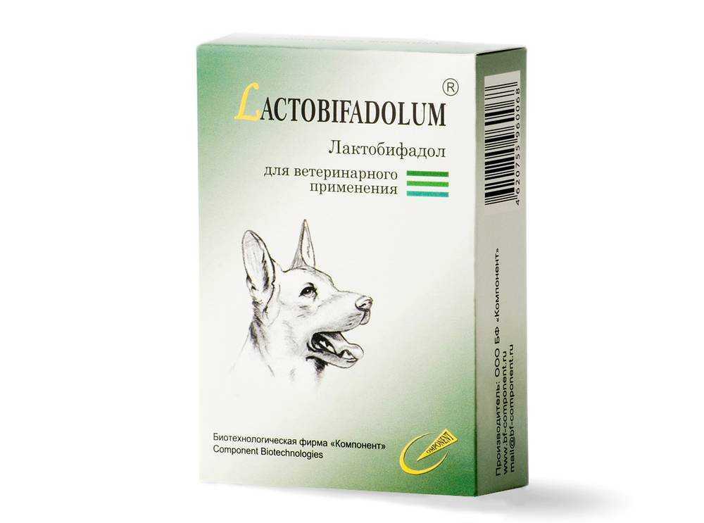 Лактобифадол для собак: инструкция по применению с дозировкой для щенков и взрослых. что входит в состав обычного пробиотика и «форте»?