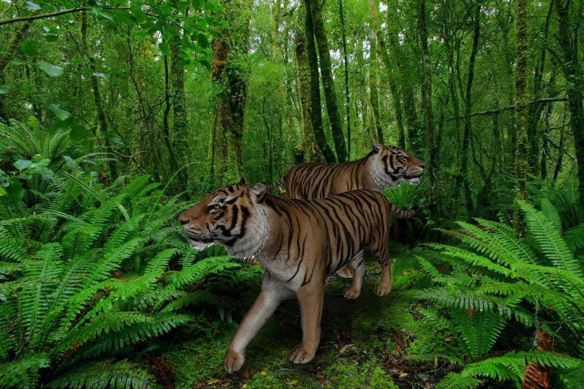 Какие животные водятся во влажных экваториальных лесах