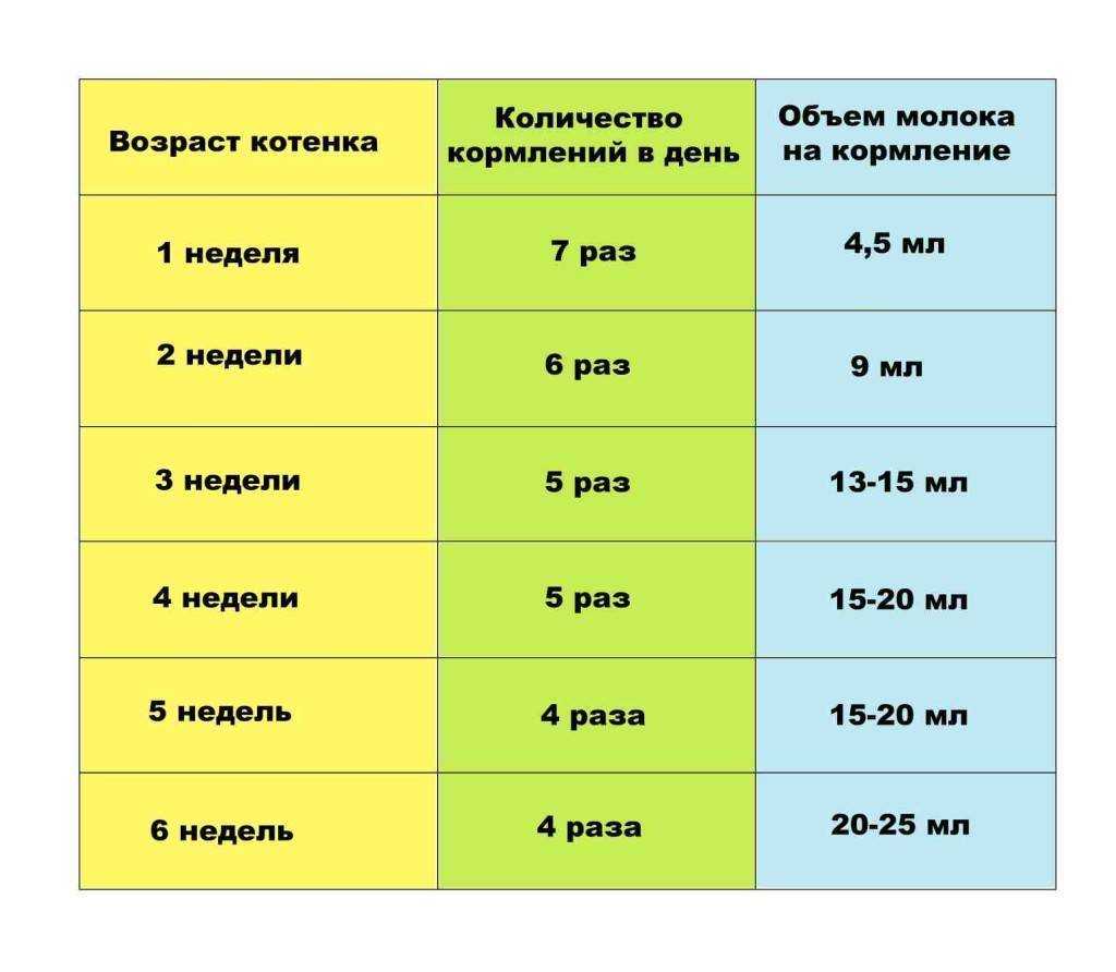 Можно ли котенку творог если он сухой корм ест