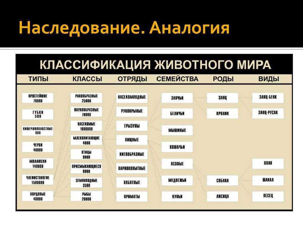 Лаборатория териологии