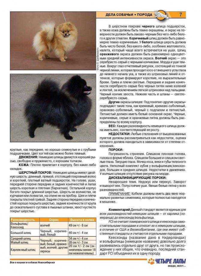 Как соблюдать оптимальный график мытья собаки?