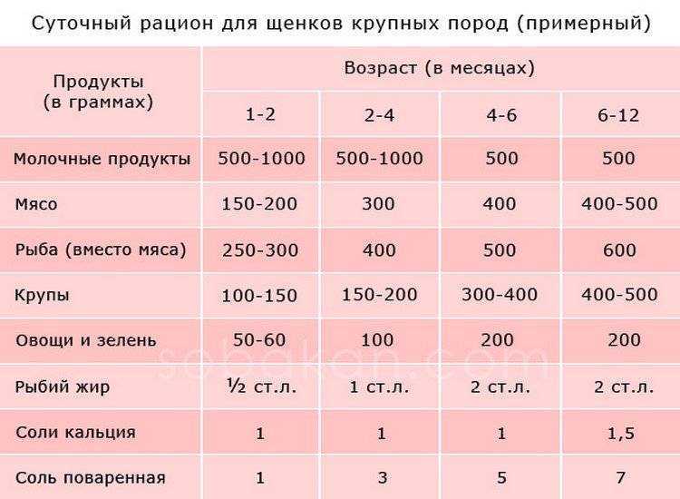 Чем кормить хаски