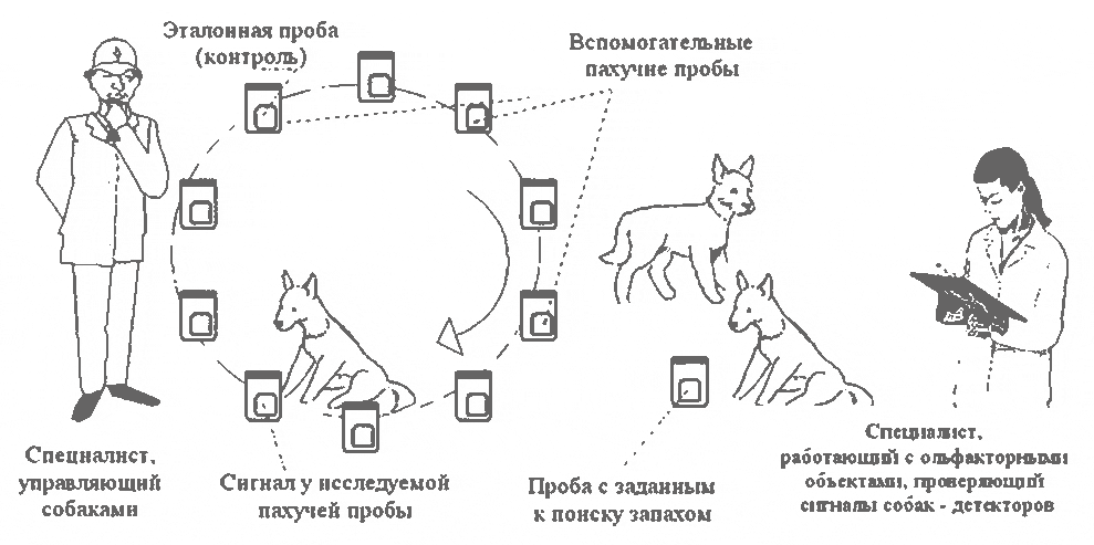 Следы животных с подписями