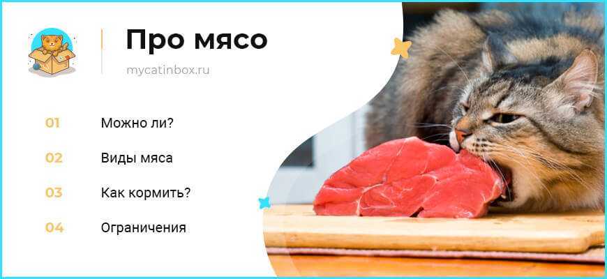 Сочетание промышленного и домашнего рациона | вет-точка