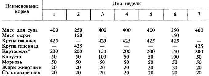 В чем особенность питания той-терьера и ухода за ним?