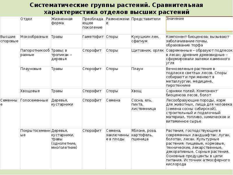 Клетка