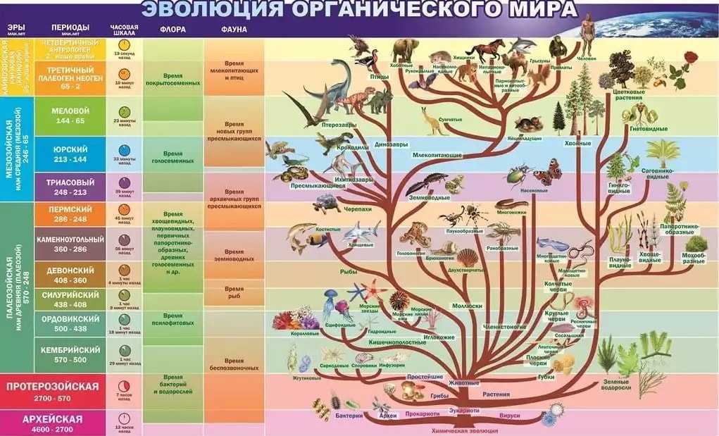 Bio-lessons