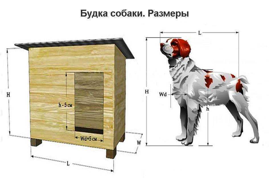 Будка для собаки своими руками: схемы, домашняя и уличная, утепление, чертежи