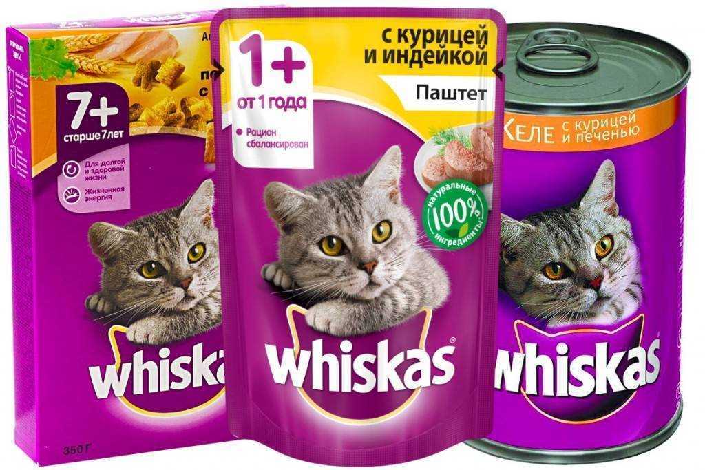 Корм для собак savarra: отзывы и обзор состава | «дай лапу»