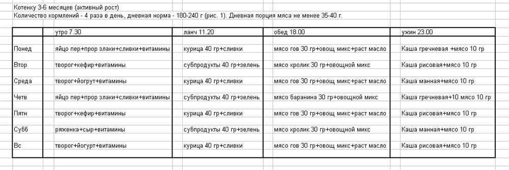 Натуральное питание британских кошек: нормы кормления и режим