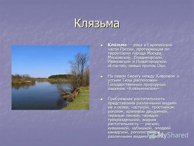 Фауна. владимирская область