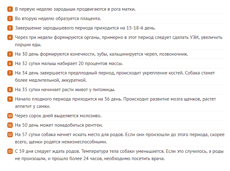 Беременность и роды йорка: сколько длится вынашивание, календарь по дням Как правильно принять роды в домашних условиях: что подготовить, порядок действий, и как быть в случае осложнений Правила послеродового ухода за собакой