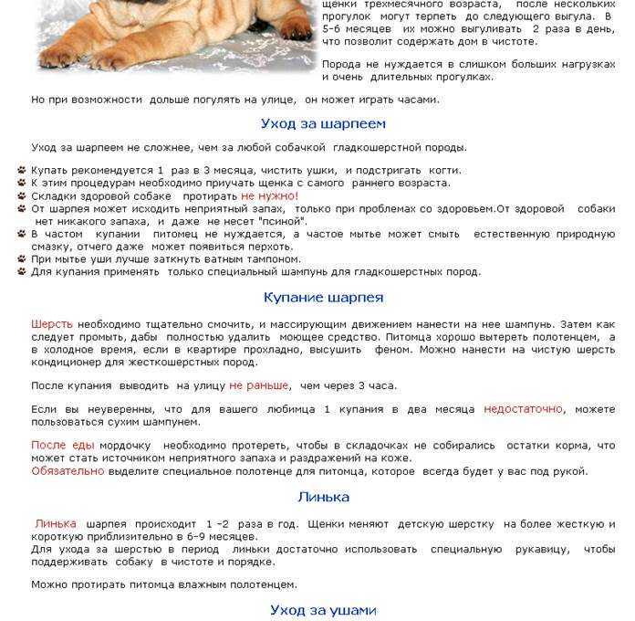 Перевести собаку на сухой корм с натурального питания: 10 советов приучить щенка
