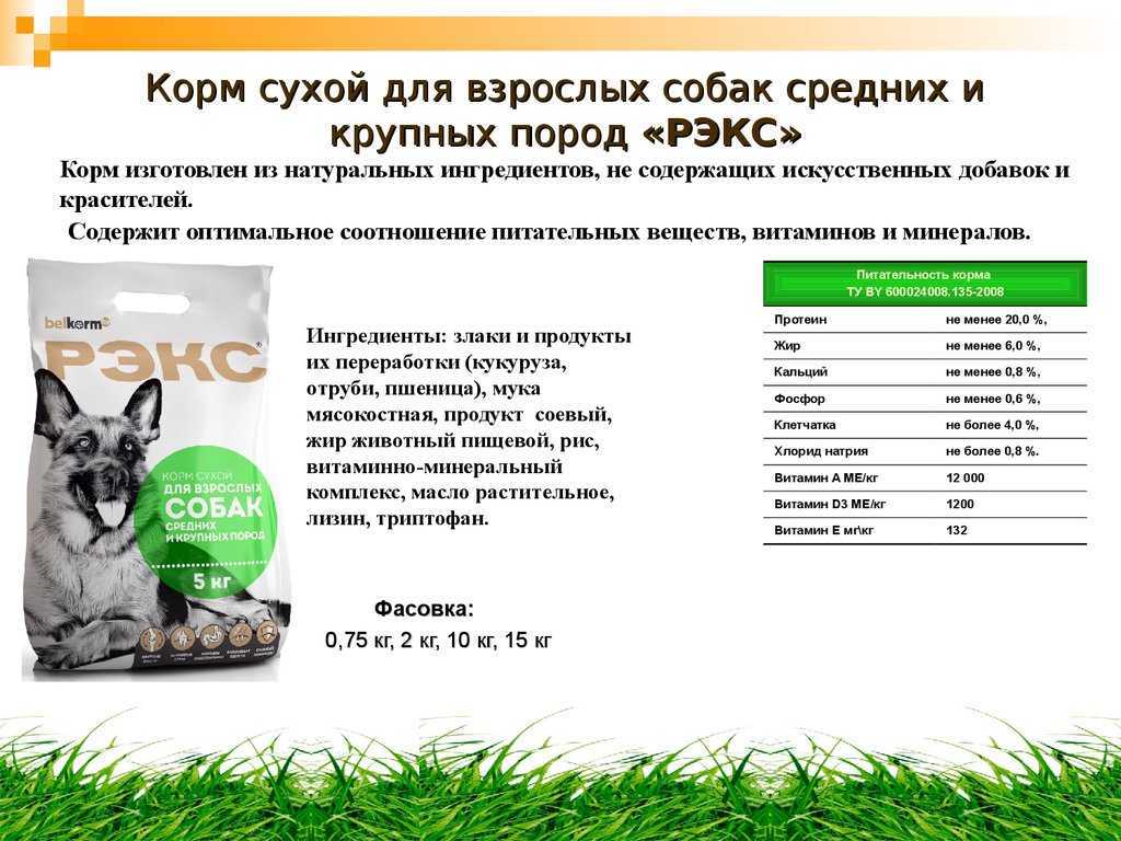 Корм для стерилизованных собак – мелких, средних, крупных пород, питание кастрированного питомца