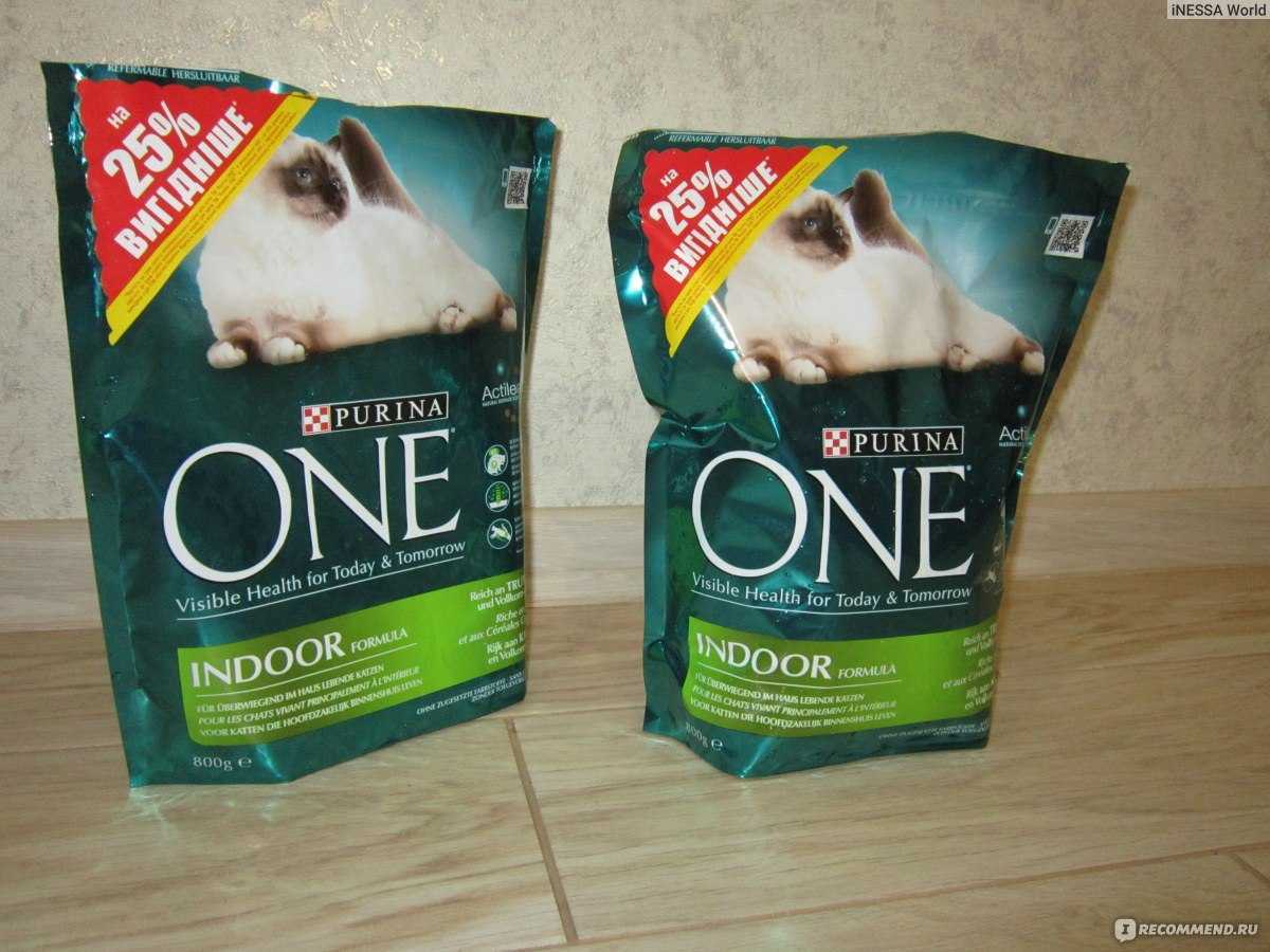 Purina one (пурина ван): обзор корма для кошек, состав, отзывы