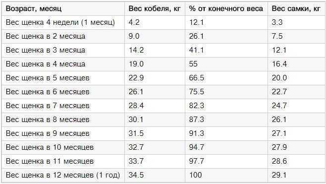 Cколько весит алабай — взрослая собака и щенок до года