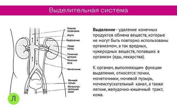 Холодные ноги: в чем причина и что с этим делать? | университетская клиника
