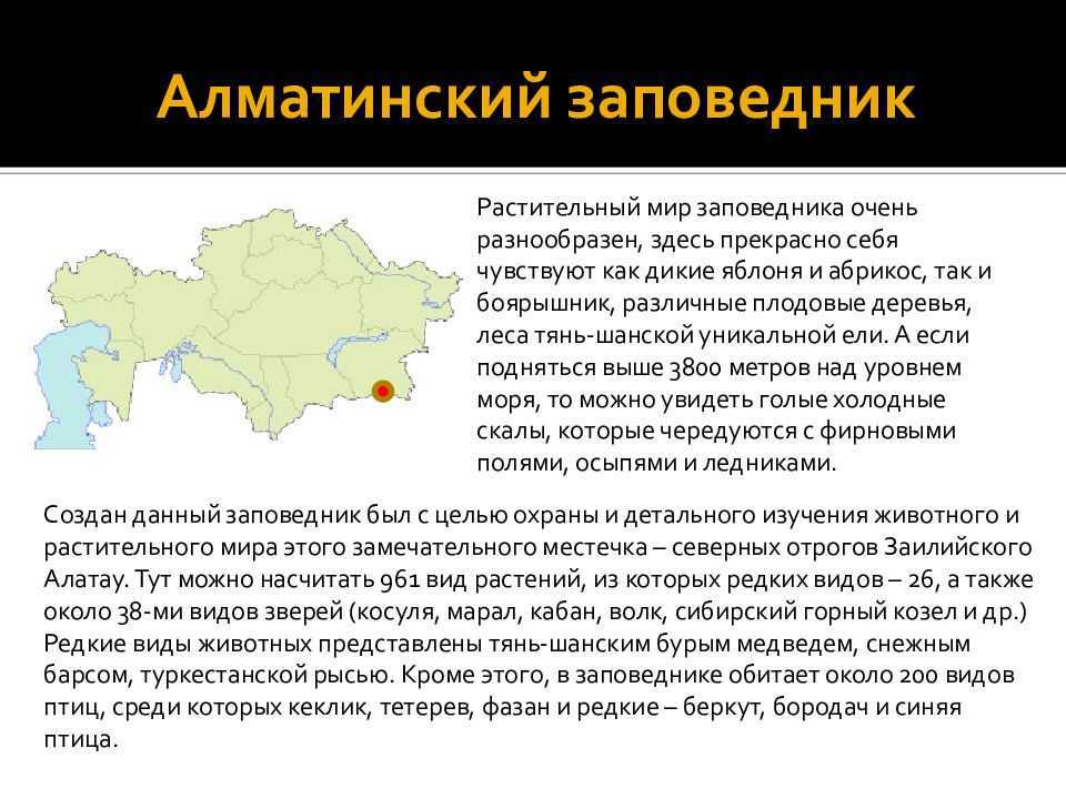 Растения и животные байкала