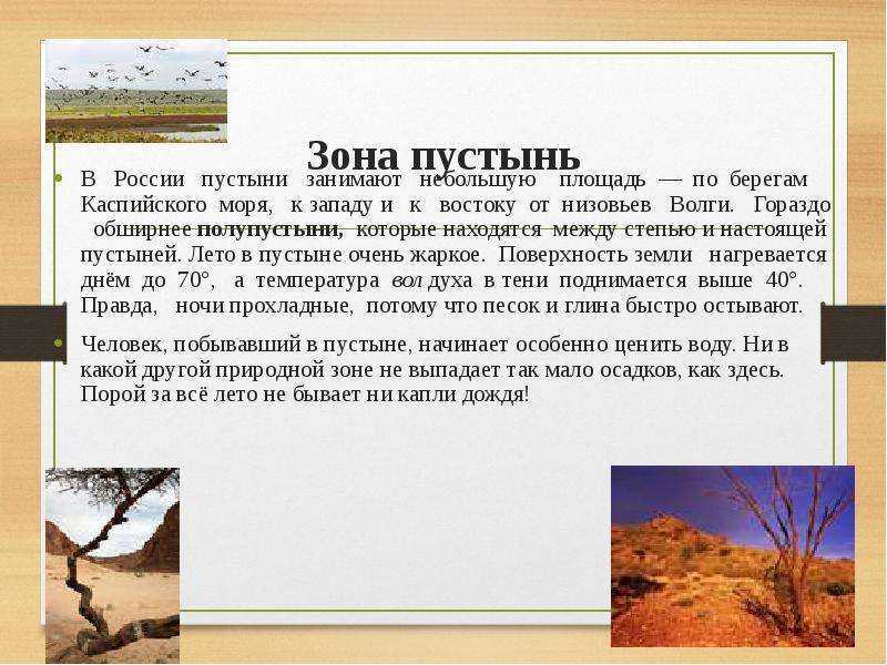 Пустыни и полупустыни - климат, животный мир и растительность, интересные факты