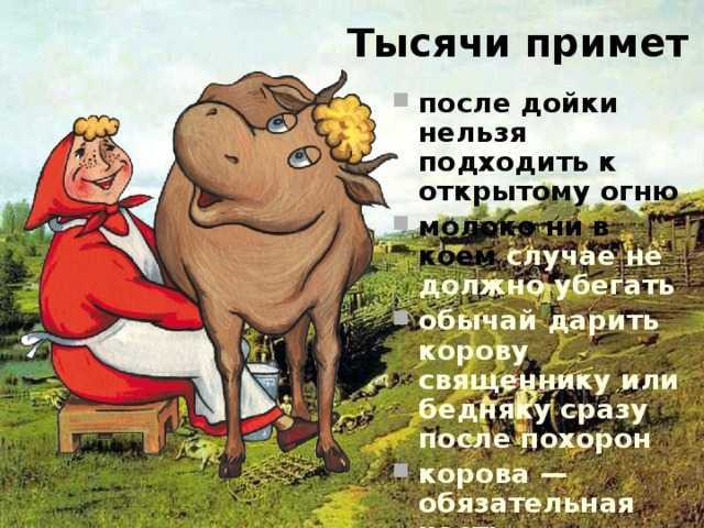 Настойка чемерицы: инструкция по применению для животных :: syl.ru