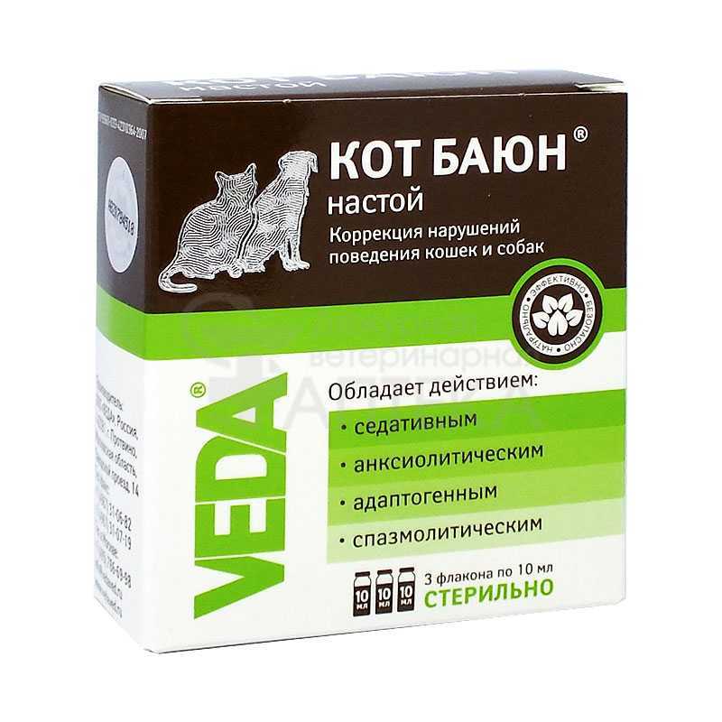Снотворное для кошек: как действует на организм животного, когда и как давать, обзор популярных средств, отзывы
