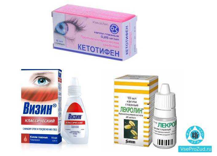 Почему собака чихает