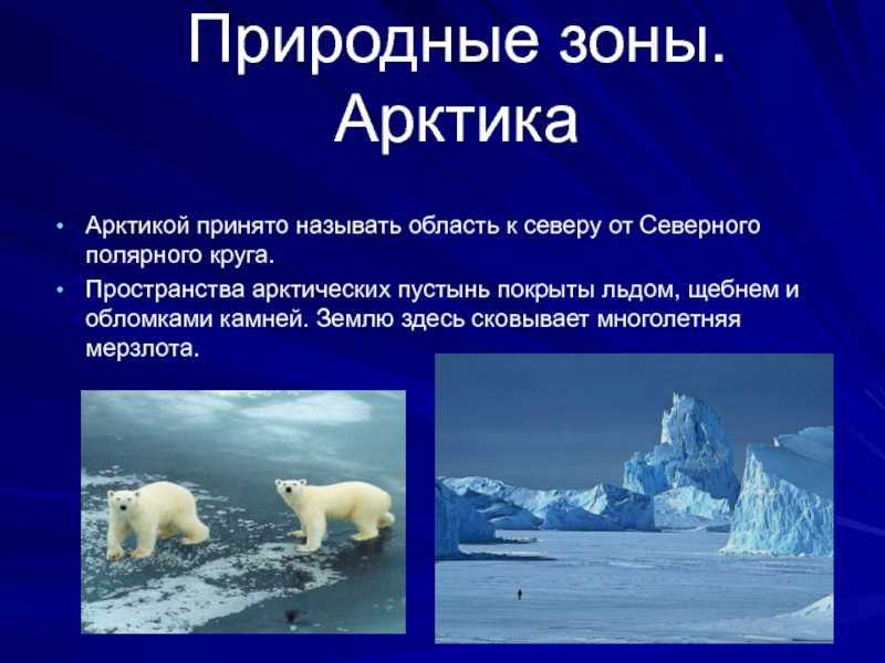 Доклад-сообщение арктические пустыни 3, 4, 6 класс