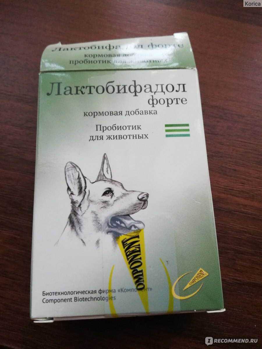 "лактобифадол" для собак: описание, свойства, противопоказания