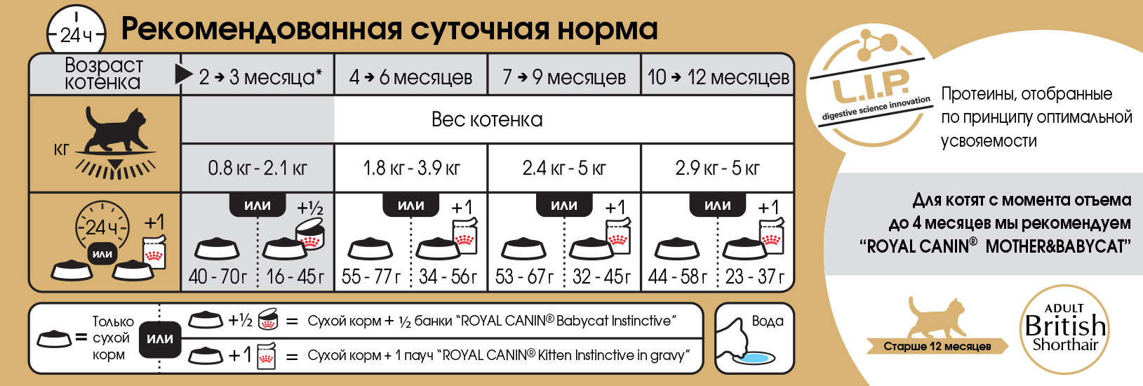 Рацион питания котёнка