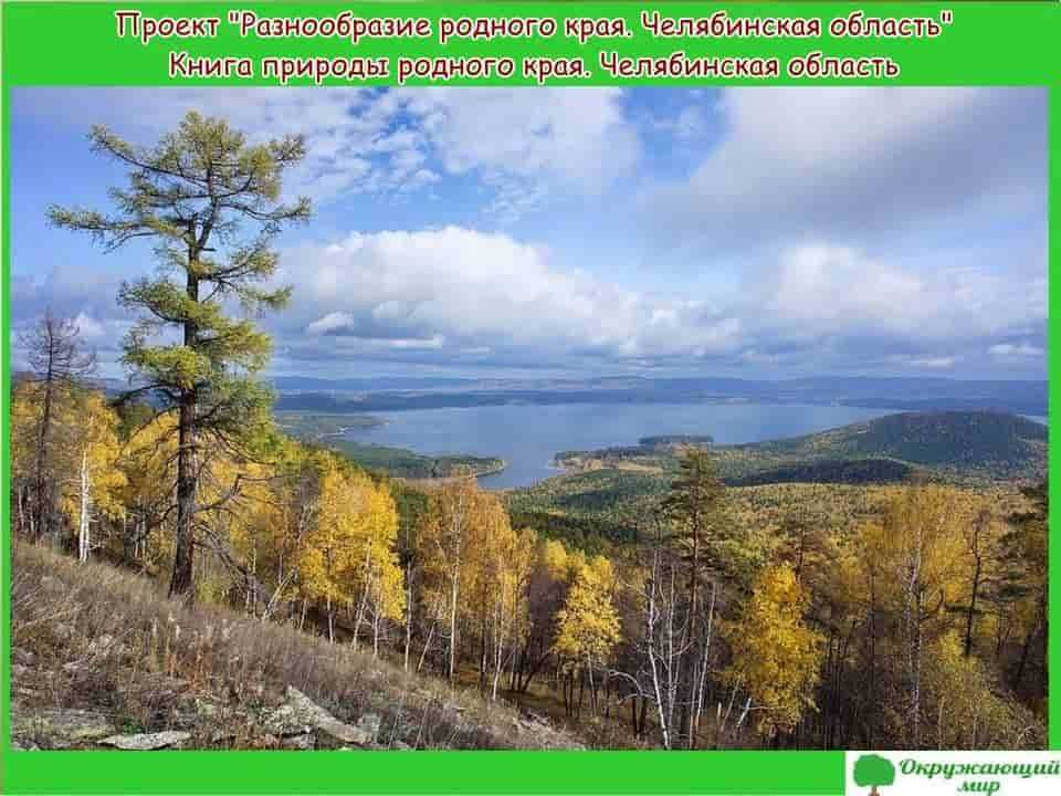 Даурский заповедник - редкие виды
