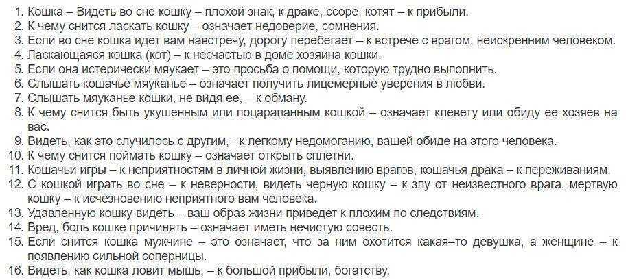 К чему снятся кошки и котята женщине по соннику