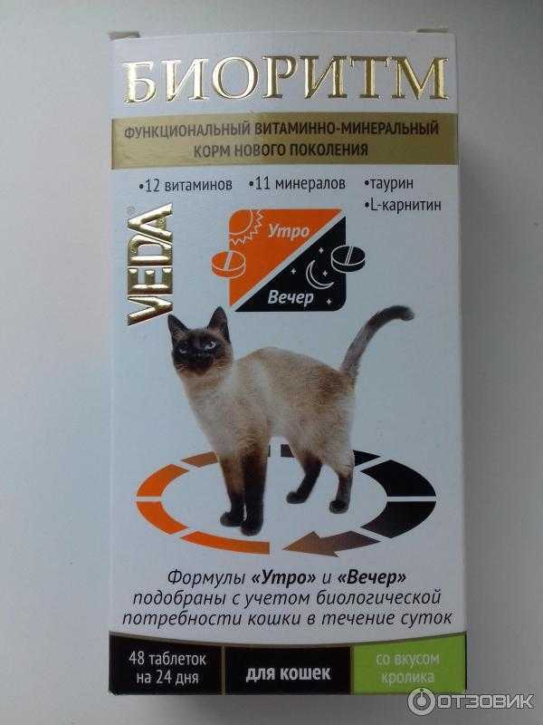 Обзор витаминов для кошек от выпадения шерсти