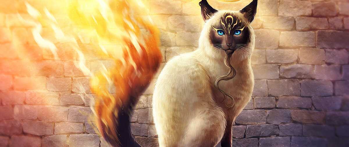 Кошка – лучшая защита вашего дома от нечисти и дурного глаза, выберите свою :: инфониак